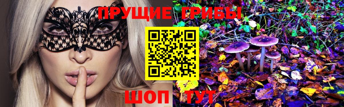 Псилоцибиновые грибы мицелий  как найти   Октябрьский 