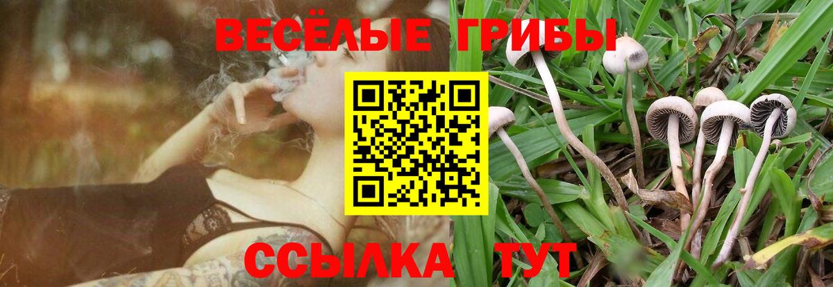 Галлюциногенные грибы Cubensis Октябрьский